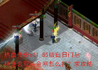 热血传奇sf1.85版白日门丛林迷宫双头金刚怎么打?求攻略 热血传奇sf1.85版白日门丛林迷宫双头金刚怎么打?求攻略