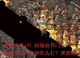 热血传奇sf1.85版白日门丛林迷宫双头金刚怎么打?求攻略 热血传奇sf1.85版白日门丛林迷宫双头金刚怎么打?求攻略