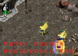 ��Ѫ����sf1.85������Ŵ����Թ�˫ͷ�����ô������