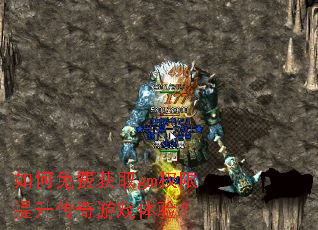 �����ѻ�ȡgmȨ������������Ϸ���飿