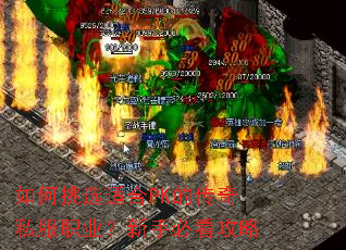 �����ѡ�ʺ�PK�Ĵ���˽��ְҵ�����ֱؿ�����
