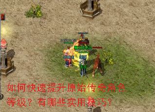 如何快速提升原始传奇角色等级?有哪些实用技巧? 如何快速提升原始传奇角色等级?有哪些实用技巧?
