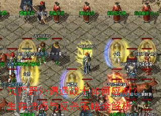 ��ʦҰ������սʿ���Ӧ�ԣ����漼���뷴ɱ����ȫ����