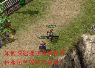 如何快速提升龙腾世界私服角色等级与装备? 如何快速提升龙腾世界私服角色等级与装备?