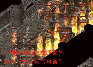 如何快速提升龙腾世界私服角色等级与装备? 如何快速提升龙腾世界私服角色等级与装备?