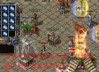 ����˽���������ϴ�ȫ����ο���ʶ�𲢻��ܸ���Boss��
