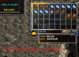 昨天开的传奇私服怎么快速升级? 昨天开的传奇私服怎么快速升级?