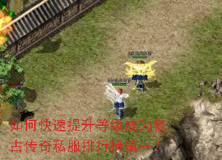 如何快速提升等级成为复古传奇私服排行榜第一? 如何快速提升等级成为复古传奇私服排行榜第一?