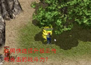 如何快速提升极品传奇合击的战斗力? 如何快速提升极品传奇合击的战斗力?