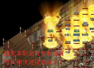 ���䵥ְҵ�����·�������ο�������ս����
