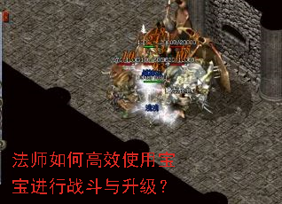 ��ʦ��θ�Чʹ�ñ�������ս����������