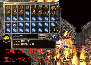 ��ʦ��θ�Чʹ�ñ�������ս����������