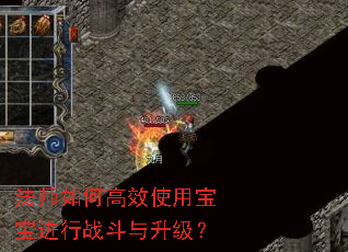 ��ʦ��θ�Чʹ�ñ�������ս����������