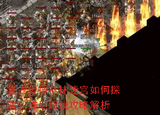 复古传神丛林迷宫如何探索?详尽路线攻略解析 复古传神丛林迷宫如何探索?详尽路线攻略解析