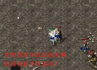 传奇游戏中战战组合真的适合新手玩家吗? 传奇游戏中战战组合真的适合新手玩家吗?