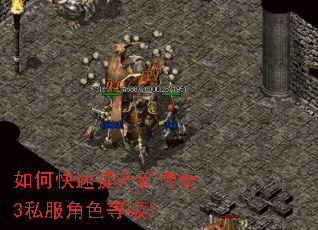 如何快速提升新传奇3私服角色等级? 如何快速提升新传奇3私服角色等级?