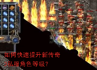 如何快速提升新传奇3私服角色等级? 如何快速提升新传奇3私服角色等级?