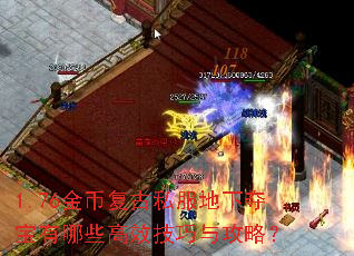 1.76金币复古私服地下夺宝有哪些高效技巧与攻略? 1.76金币复古私服地下夺宝有哪些高效技巧与攻略?