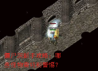 僵尸洞新手攻略:哪些怪物需特别警惕? 僵尸洞新手攻略:哪些怪物需特别警惕?