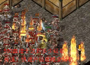 500Ѫ��ʿ�ﵽ���ټ�����ʣ�������������ȫ����