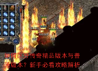 ������ִ��澫Ʒ�汾����ͨ�汾�����ֱؿ����Խ���