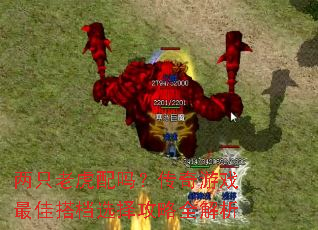 ��ֻ�ϻ����𣿴�����Ϸ��Ѵѡ����ȫ����