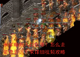 未知暗殿入口在哪?怎么走最快到达?求详细视频攻略 未知暗殿入口在哪?怎么走最快到达?求详细视频攻略
