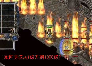 ��ο��ٴ�1������1000����