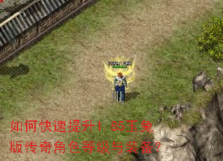 如何快速提升1.85玉兔版传奇角色等级与装备? 如何快速提升1.85玉兔版传奇角色等级与装备?