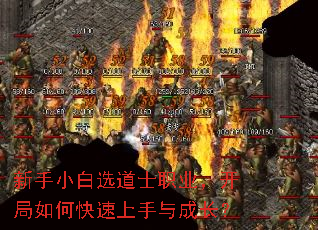 ����С��ѡ��ʿְҵ��������ο���������ɳ���