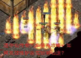 �����ɴ��������������ԣ���θ�Чά�����ݳ۳���;��