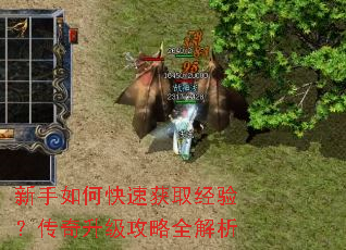 新手如何快速获取经验?传奇升级攻略全解析 新手如何快速获取经验?传奇升级攻略全解析
