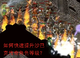 如何快速提升沙巴克传奇角色等级? 如何快速提升沙巴克传奇角色等级?