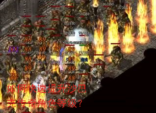 如何快速提升沙巴克传奇角色等级? 如何快速提升沙巴克传奇角色等级?