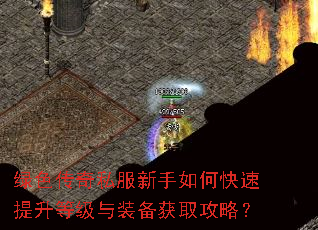 绿色传奇私服新手如何快速提升等级与装备获取攻略? 绿色传奇私服新手如何快速提升等级与装备获取攻略?