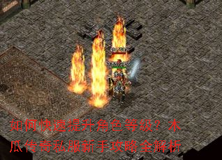 如何快速提升角色等级?木瓜传奇私服新手攻略全解析 如何快速提升角色等级?木瓜传奇私服新手攻略全解析